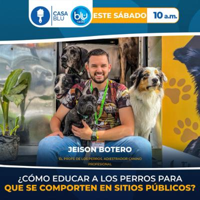 BLUE RADIO: HABLEMOS DE EDUCACIÓN CANINA