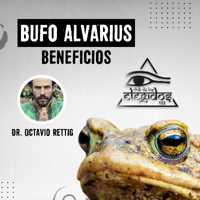 Beneficios Bufo Alvarius, Dr. Octavio Rettig