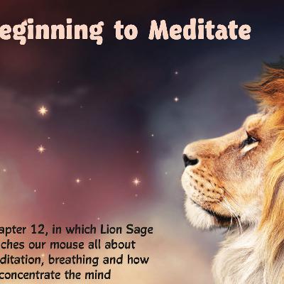 Chapter 12 - Beginning to Meditate