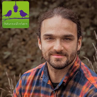Naturzwitschern mit Joscha Grolms / Autor "Tierspuren Europas"