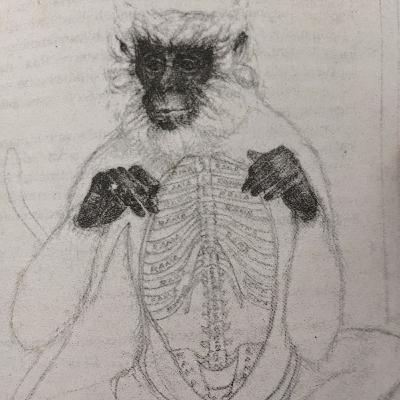 The beauty of Lord Rama Pt 1