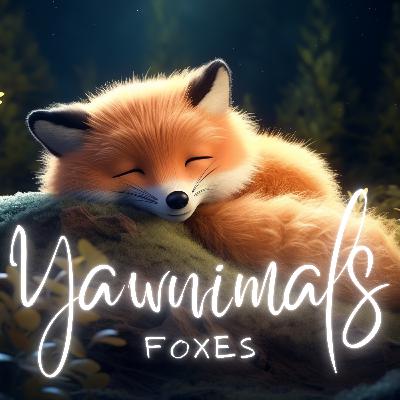Foxes 🦊