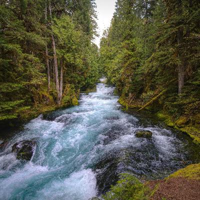 Find A Pleasant Emotion (18 min version)