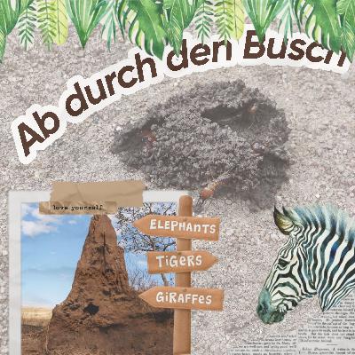 #9 Tag 7 Ab durch den Busch🦓 #9 Tag 7 Ab durch den Busch🦓