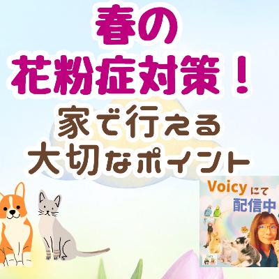 一般公開LIVE：春の花粉症対策❗どうする❓🏡