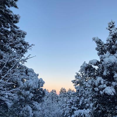 Meditation: Mindfulness of Light