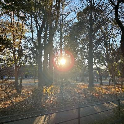 公園の朝散歩より678鳥の声 公園の朝散歩より678鳥の声