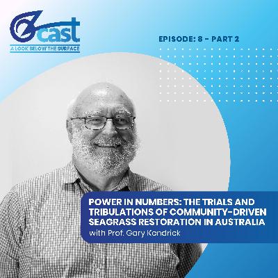 Power in numbers (PART 2): The trials and tribulations of seagrass restoration in Australia. Power in numbers (PART 2): The trials and tribulations of seagrass restoration in Australia.