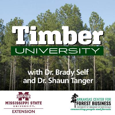 Forest Health Happenings in the US South | Timber University #508