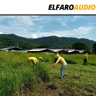 El Salvador admite que tiene en la cárcel a deportado que se tenía por desaparecido El Salvador admite que tiene en la cárcel a deportado que se tenía por desaparecido