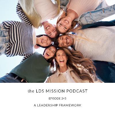 245. A Leadership Framework