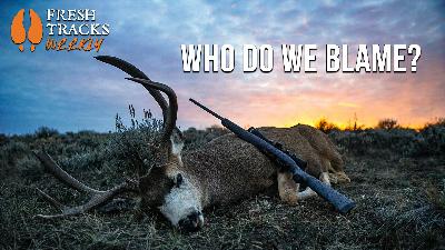 Bad Game Management | Week of February 2