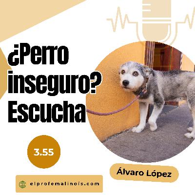 3.55 ¿Por qué tu perro es inseguro y cómo ayudarle a ganar confianza?