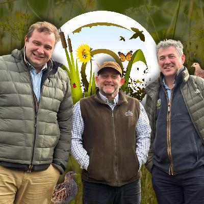 Turtle Dove Conservation At Brewery Farm