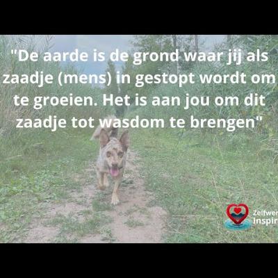 103 De Matrix eenvoudig ontrafelt
