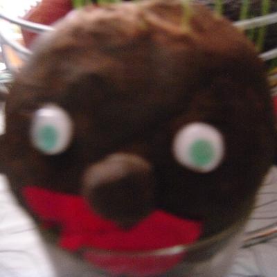 El curuncho. Otra leyenda del duende.