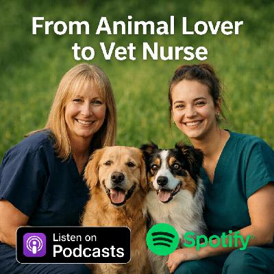 From Animal Lover to Vet Nurse: Inside Dr Elaine's Holistic Animal Wellness Clinic
