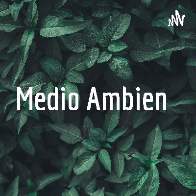 Medio Ambien