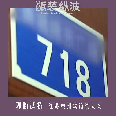 19.魂断鹊桥：江苏泰州宾馆杀人案