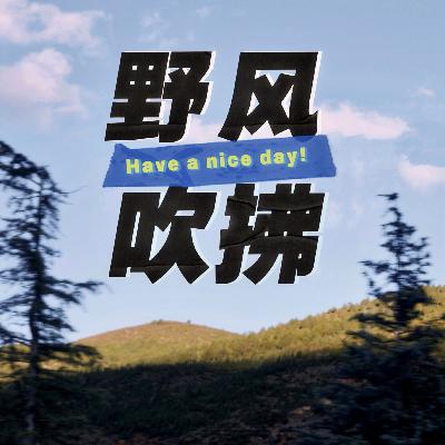 No.13 祝你今天也度过平常又爱自己的一天