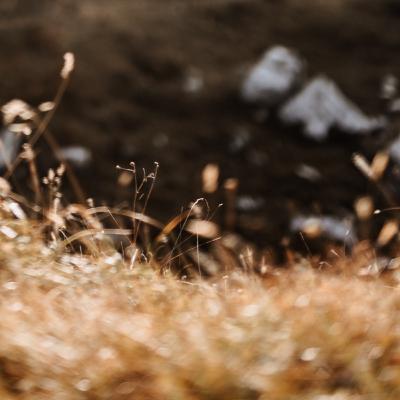 Morgenmeditation - in deiner Mitte ankommen Morgenmeditation - in deiner Mitte ankommen