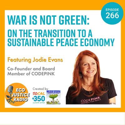 War is Not Green: On the Transition to a Sustainable Peace Economy