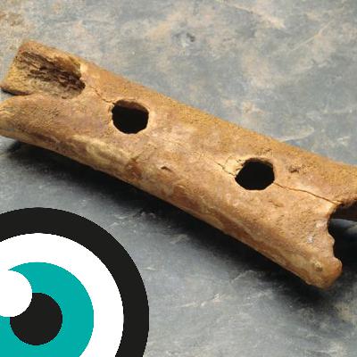 De autisme-Neanderthaler theorie De autisme-Neanderthaler theorie