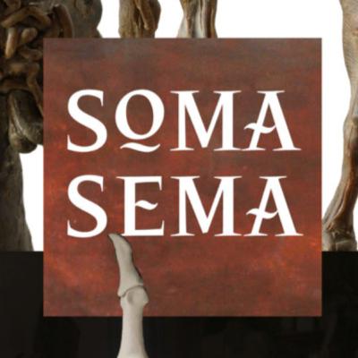 SOMA SEMA, rozhovor s kurátorem Ivanem Neumannem a sochařem Kryštofem Hoškem