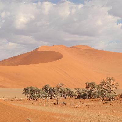 Zwischen Wildnis und Wirtschaft - Die Jagd in Namibia