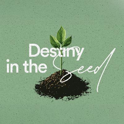 Destiny in the Seed - Ps. Natalie Contreras