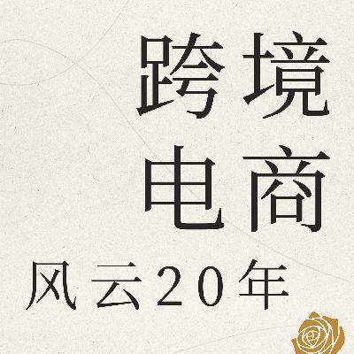 《跨境电商风云20年》第六章 万象更新 第三节品牌出海