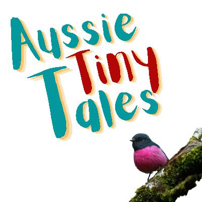 Episode 73: Rosie the pink robin plays hide and seek