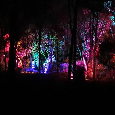 Harry Blotter - Buffalo Stampede 2 (Vic Bush  Sep 2023) 2 hr Techno & Acid Closing set