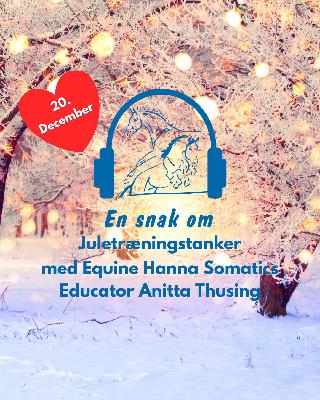 20. Decembers Juletræningstanker med Equine Hanna Somatics Educator Anitta Thusing