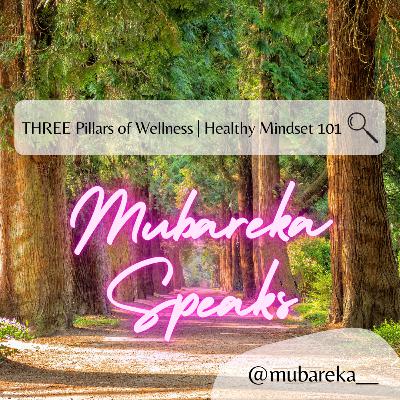 THREE Pillars of Wellness | Healthy Mindset 101 - Ep. 15 THREE Pillars of Wellness | Healthy Mindset 101 - Ep. 15