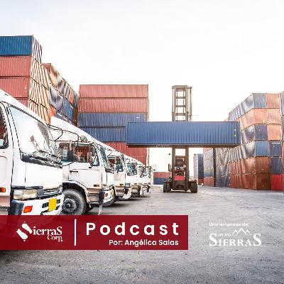 Saturación del puerto de Manzanillo; organización o falta de infraestructura