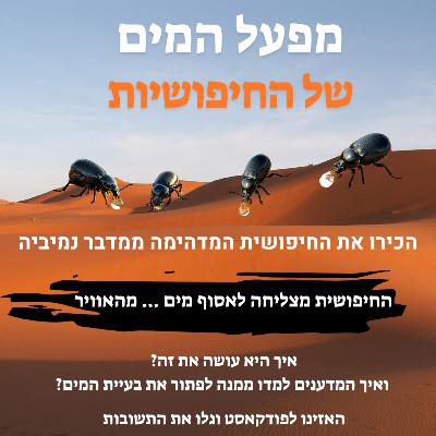 מפעל המים של החיפושית