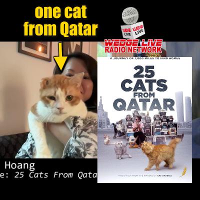 25 Cats from Qatar (w/Mye Hoang) 25 Cats from Qatar (w/Mye Hoang)