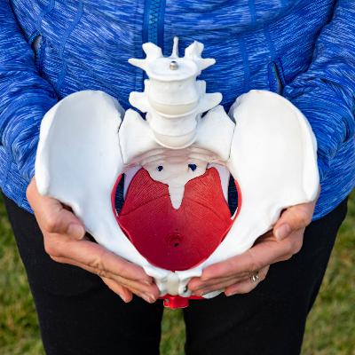 Stress Incontinence: causes, symptoms, tips and treatment. Stress Incontinence: causes, symptoms, tips and treatment.