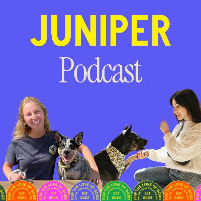 Strategic Training for Happier Dogs with Zoë Holloway