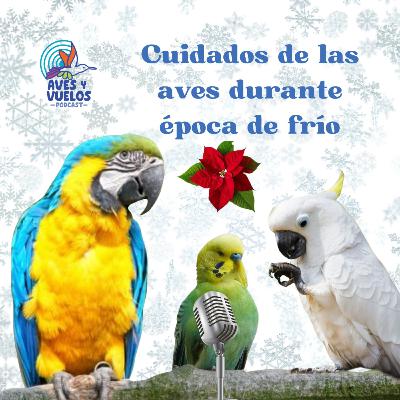 Cuidado de las aves durante época de frio.