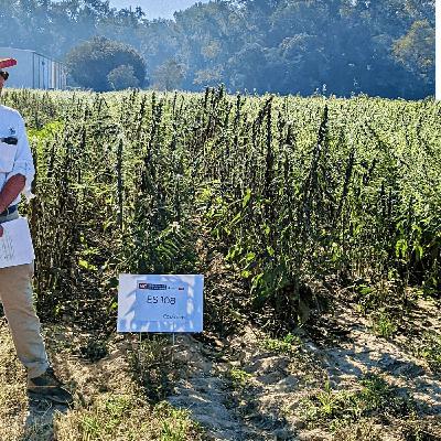 A Look Into Alternative Crops with David Suchoff