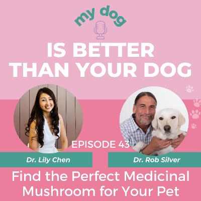 Find the Perfect Medicinal Mushroom for Your Pet