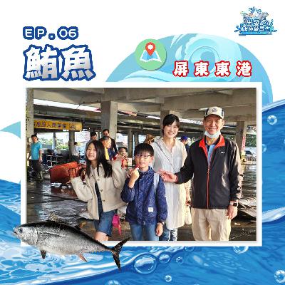 出發吧!鱻魚練習生|第六個試煉|學習技能【團結】- 鮪魚 出發吧!鱻魚練習生|第六個試煉|學習技能【團結】- 鮪魚