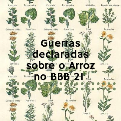 Guerras declaradas sobre o Arroz no BBB21