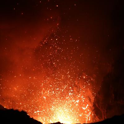 第24回 幸せの国、バヌアツ共和国に行きました! 第24回 幸せの国、バヌアツ共和国に行きました!