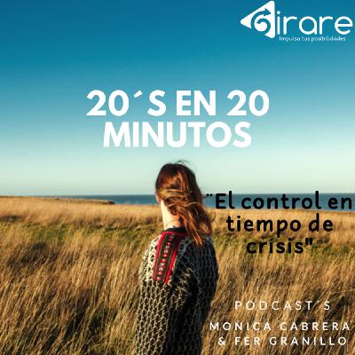 El control en tiempos de crísis El control en tiempos de crísis