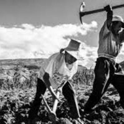 Reforma Agrária No Brasil