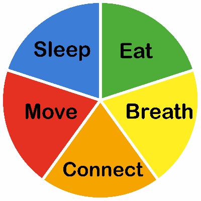 First steps to healthy habits