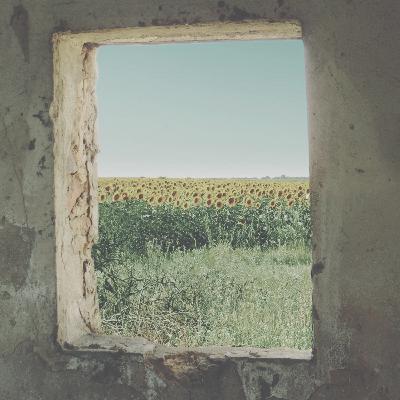 7 – À force d’absorber (Bob)